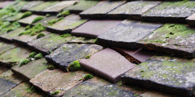 Michaelston Y Fedw roof repair costs